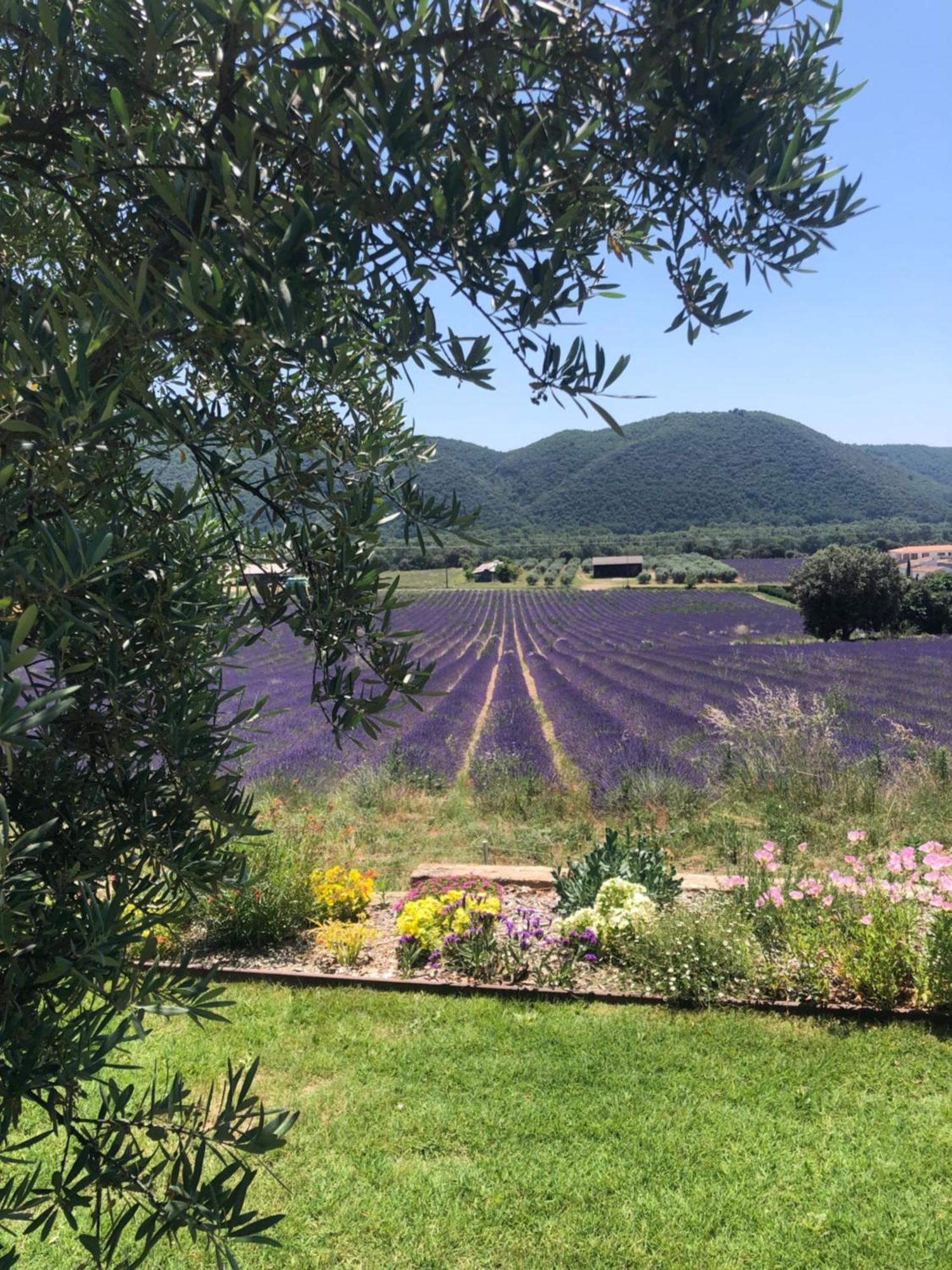 The View Aix-En-Provence Hotel ภายนอก รูปภาพ